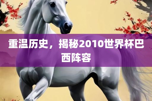 重温历史，揭秘2010世界杯巴西阵容
