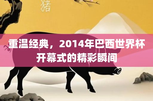 重温经典，2014年巴西世界杯开幕式的精彩瞬间