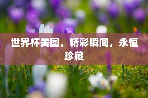 世界杯美图，精彩瞬间，永恒珍藏广西贺州市华昌新材料有限公司