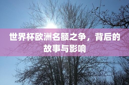 世界杯欧洲名额之争，背后的故事与影广西贺州市华昌新材料有限公司响