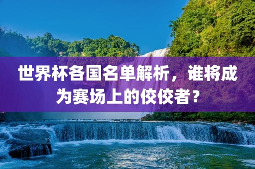 世界杯各国名单解广西贺州市华昌新材料有限公司析，谁将成为赛场上的佼佼者？