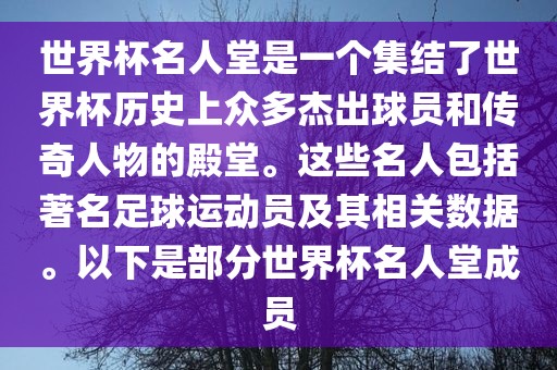 linjunyuan 第5页