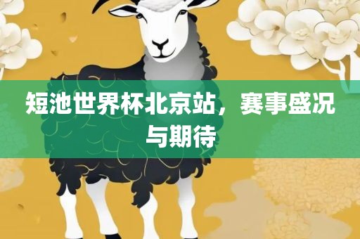短池世界杯北京站，赛事盛况与期待广西贺州市华昌新材料有限公司