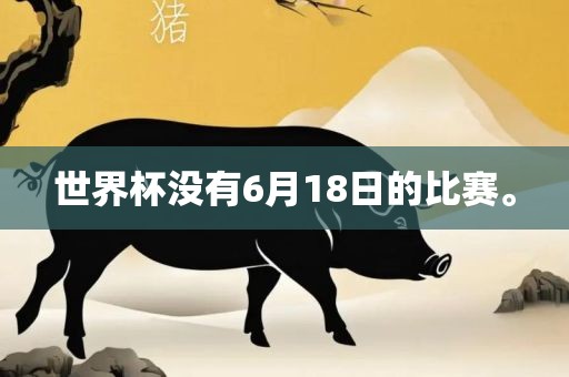 世界杯没有6月18日的比赛。广西贺州市华昌新材料有限公司