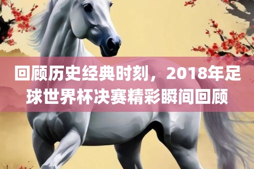 回顾历史经典时刻，2018年足球世界杯决赛精彩瞬间回顾广西贺州市华昌新材料有限公司