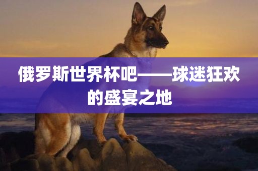 俄罗斯世界杯吧——球迷狂欢的盛宴之地广西贺州市华昌新材料有限公司