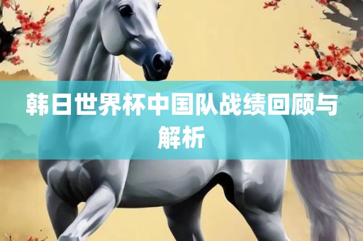 韩日世界杯中国队战绩回顾与解析