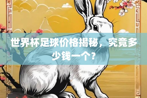 世界杯足球价格揭秘，究竟多少钱一个？