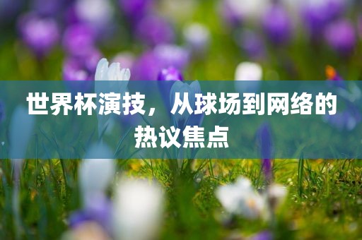 世界杯演技广西贺州市华昌新材料有限公司，从球场到网络的热议焦点