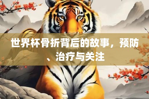 世界杯骨折背后的故事，预防、治疗与关注广西贺州市华昌新材料有限公司