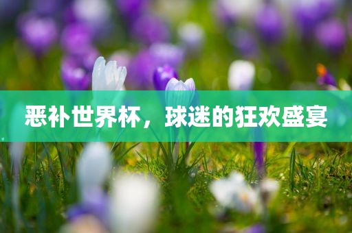 恶补世界杯，球迷的狂欢广西贺州市华昌新材料有限公司盛宴