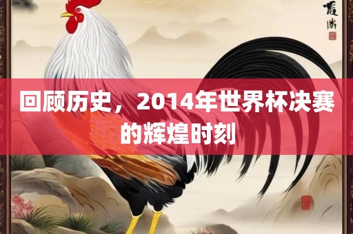 回顾历史，2014年世界杯决赛的辉煌时刻广西贺州市华昌新材料有限公司