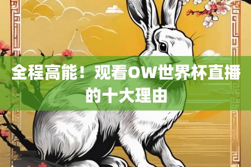 全程高能！观看OW世界杯直播的十大理由广西贺州市华昌新材料有限公司