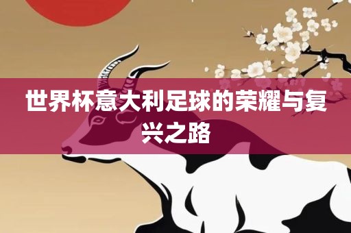 世界杯意大利足球的荣耀与复兴之路广西贺州市华昌新材料有限公司