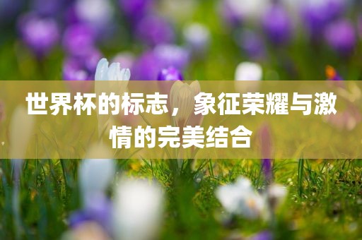 世界杯的标志，象征荣耀与激情的完美结合