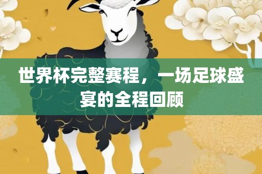 世界杯完整赛程，一场足球盛宴的全程回顾
