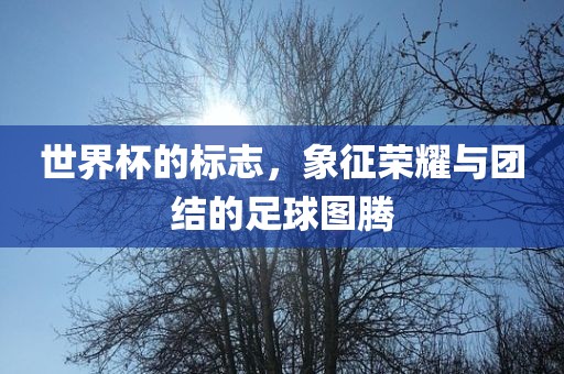 世界杯的标志，象征荣耀与团结的足球图腾