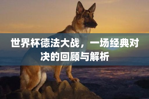 世界杯德法大战，一场经典对决的回顾与解析广西贺州市华昌新材料有限公司