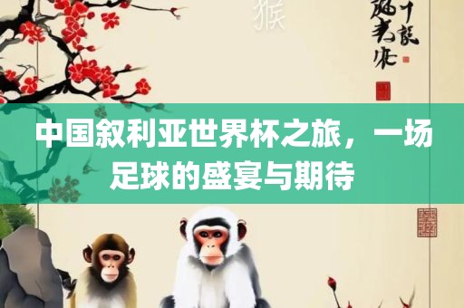 中国叙利亚世界杯之旅，一场足球的盛宴与期待广西贺州市华昌新材料有限公司