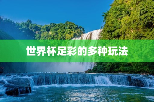 世界杯足彩的多种玩法