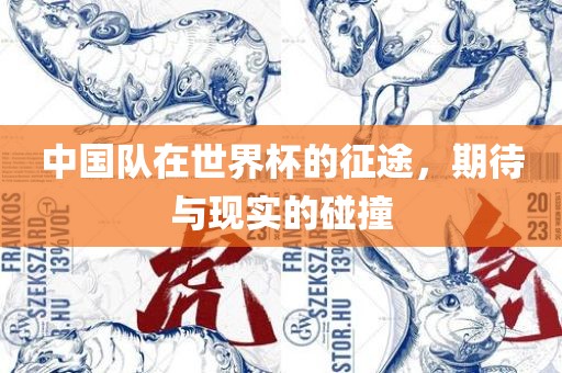中国队在世界杯的征途，期待与现实的碰撞