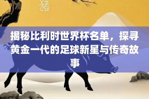 揭秘比利时世界杯名单，探寻黄金一代的足球新星与传奇故事广西贺州市华昌新材料有限公司