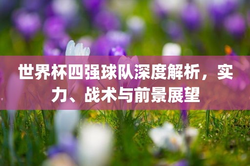 世界杯四强球队深度解析，实力、战术与前景展望广西贺州市华昌新材料有限公司