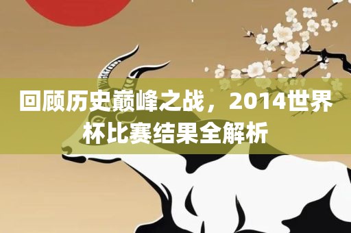 回顾历史巅峰之战，2014世界杯比赛结果全解析广西贺州市华昌新材料有限公司