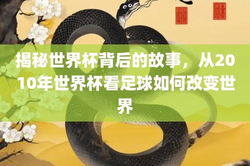 揭秘世界杯背后的故事，从2010年世界杯看足球如何改变世界