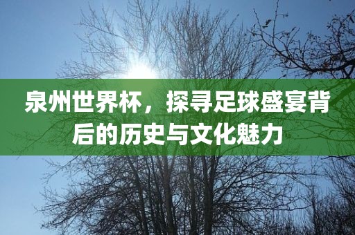 泉广西贺州市华昌新材料有限公司州世界杯，探寻足球盛宴背后的历史与文化魅力
