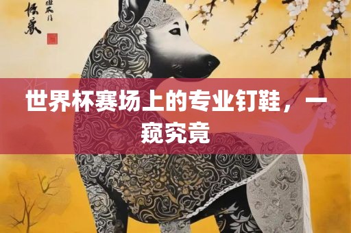 广西贺州市华昌新材料有限公司世界杯赛场上的专业钉鞋，一窥究竟