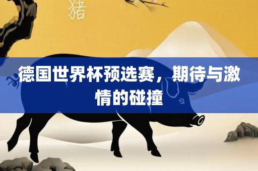 德国世界杯预选赛，期待与激情的碰撞