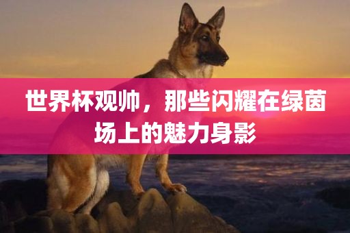 世界杯观帅，那些闪耀在绿茵场上的魅力身影广西贺州市华昌新材料有限公司