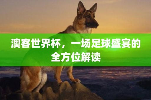 澳客世界杯，一场足球广西贺州市华昌新材料有限公司盛宴的全方位解读