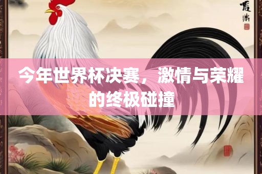 今年世界杯决赛，激情与荣耀的终极碰撞广西贺州市华昌新材料有限公司