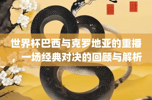 世界杯巴西与克罗地亚的重播，一场经典对决的回顾与解析广西贺州市华昌新材料有限公司