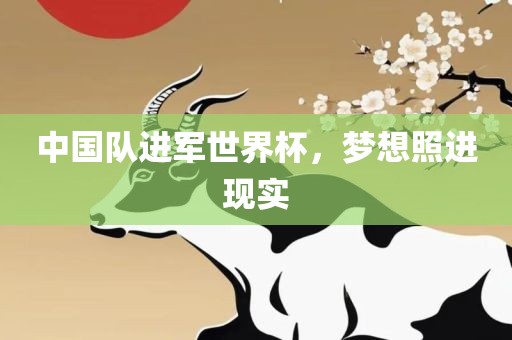 中国队进军世界杯，梦想照进现实广西贺州市华昌新材料有限公司