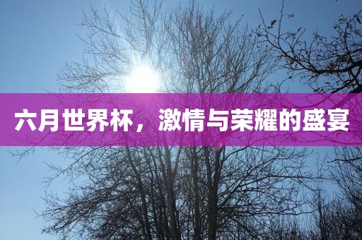 六月世界杯，激情与荣耀的盛宴广西贺州市华昌新材料有限公司