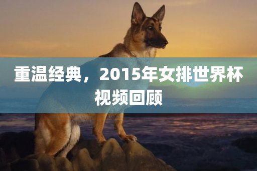 重温经典，2015年女排世界杯视频回顾