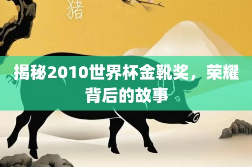 揭秘2010世界杯金靴奖，荣耀背后的故事