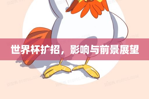 世界杯扩招，影响与前景展望广西贺州市华昌新材料有限公司
