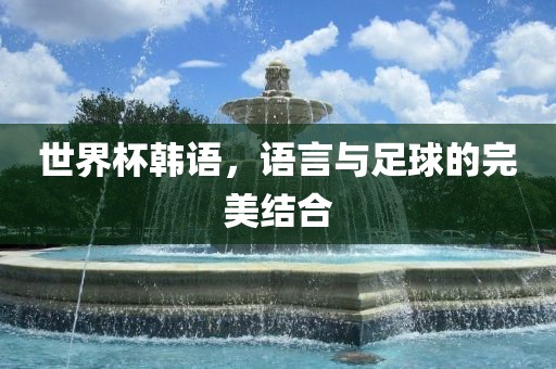 世界杯韩语，语言与足球的完美结合广西贺州市华昌新材料有限公司