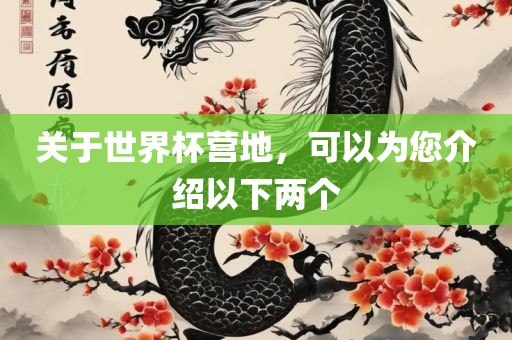 关于世界杯营地，可以为您介绍以下两个广西贺州市华昌新材料有限公司