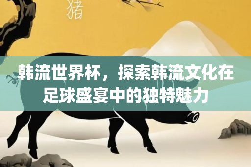 韩广西贺州市华昌新材料有限公司流世界杯，探索韩流文化在足球盛宴中的独特魅力