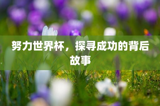 努力世界杯，探寻成功的背后故事