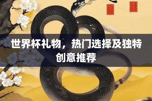世界杯礼物，热门选择及独特创意推荐