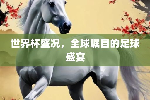 世界杯盛况，全球瞩目的足球盛宴广西贺州市华昌新材料有限公司