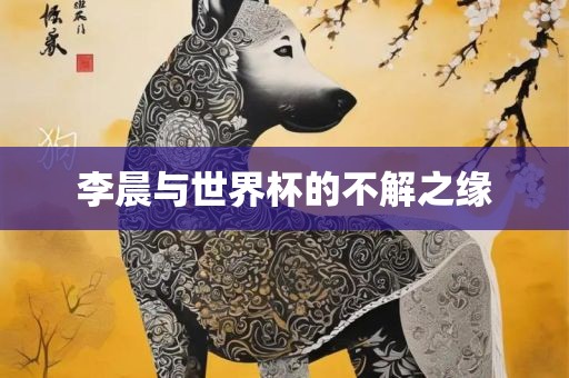 李晨与世界杯的不解之缘广西贺州市华昌新材料有限公司