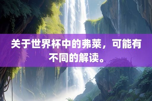 关于世界杯中的弗莱，可能有不同的解读。广西贺州市华昌新材料有限公司