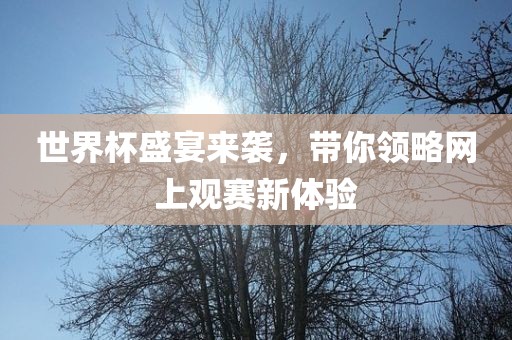世界杯盛宴来袭，带你领略网上观赛新体验广西贺州市华昌新材料有限公司